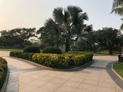 -万绿园