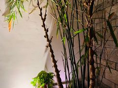 -同庆楼(花园店)