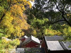 -北京上方山国家森林公园