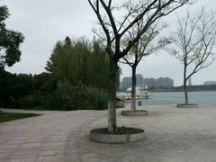-暨阳湖生态园
