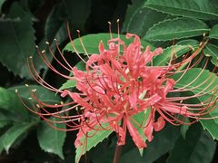 -白塘生态植物园