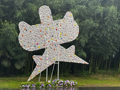 -黄海国家森林公园