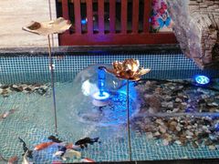 -水晶之星洗浴温泉汗蒸