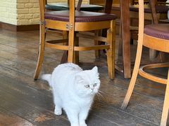 -雕刻时光·咖啡·酒吧·西餐(香山店)