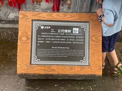 -大槐树寻根祭祖园
