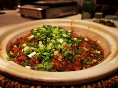 亮亮绍子粉丝-院8里·小聚园(九眼桥店)
