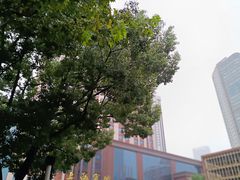 -上海宾馆-停车场