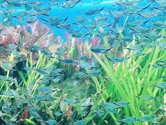 -海合安天津极地海洋公园