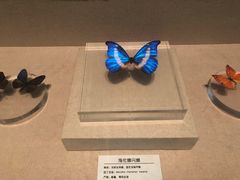 -青藏高原自然博物馆