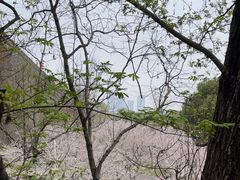 -南京城墙景区