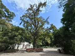 -三国赤壁古战场