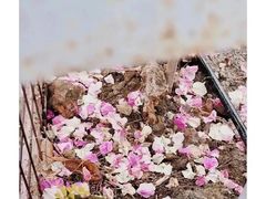 -广州市紫泥堂文化创意园景区