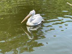-无锡动物园·太湖欢乐园