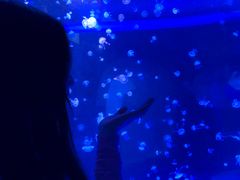 -泉城欧乐堡海洋极地世界