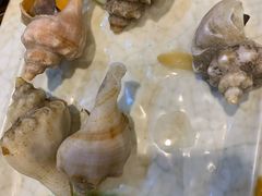 -老姑砂锅·烧烤天津菜(体北道店)