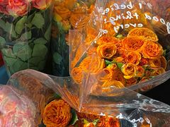 -循礼门鲜花花市(武汉循礼门店)