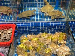 -惠来·海鲜砂锅潮宴鱼仔(江夏店)