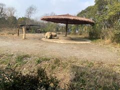 -宁波野生动物园