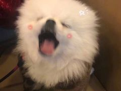 -麦当劳(坂田分店)