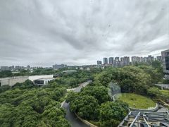 -东莞松山湖凯悦酒店
