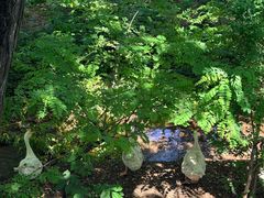 -丽泽山庄·生态怀柔菜·虹鳟鱼(红螺寺店)