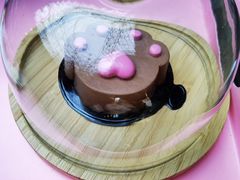 -喵屿·大理花园猫咖