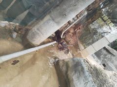 -昆明动物园