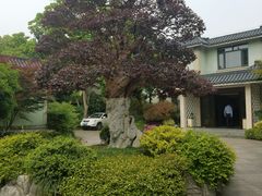 -浙江西子宾馆·牡丹厅