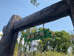 -武汉动物园