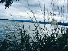 -千岛湖城中湖游船码头