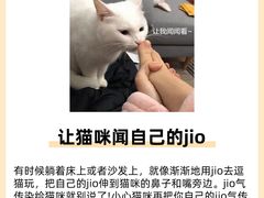 -美联众合动物医院·24h转诊中心