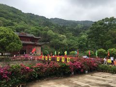 -木兰云雾山