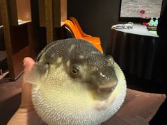 -肆月河豚·淮扬菜·湘菜(华天店)