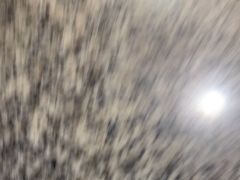 -蛙来哒(万豪城市广场黑金冠店)