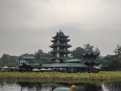 -桂湖森林公园