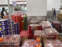-山姆会员商店(亦庄创意生活广场店)