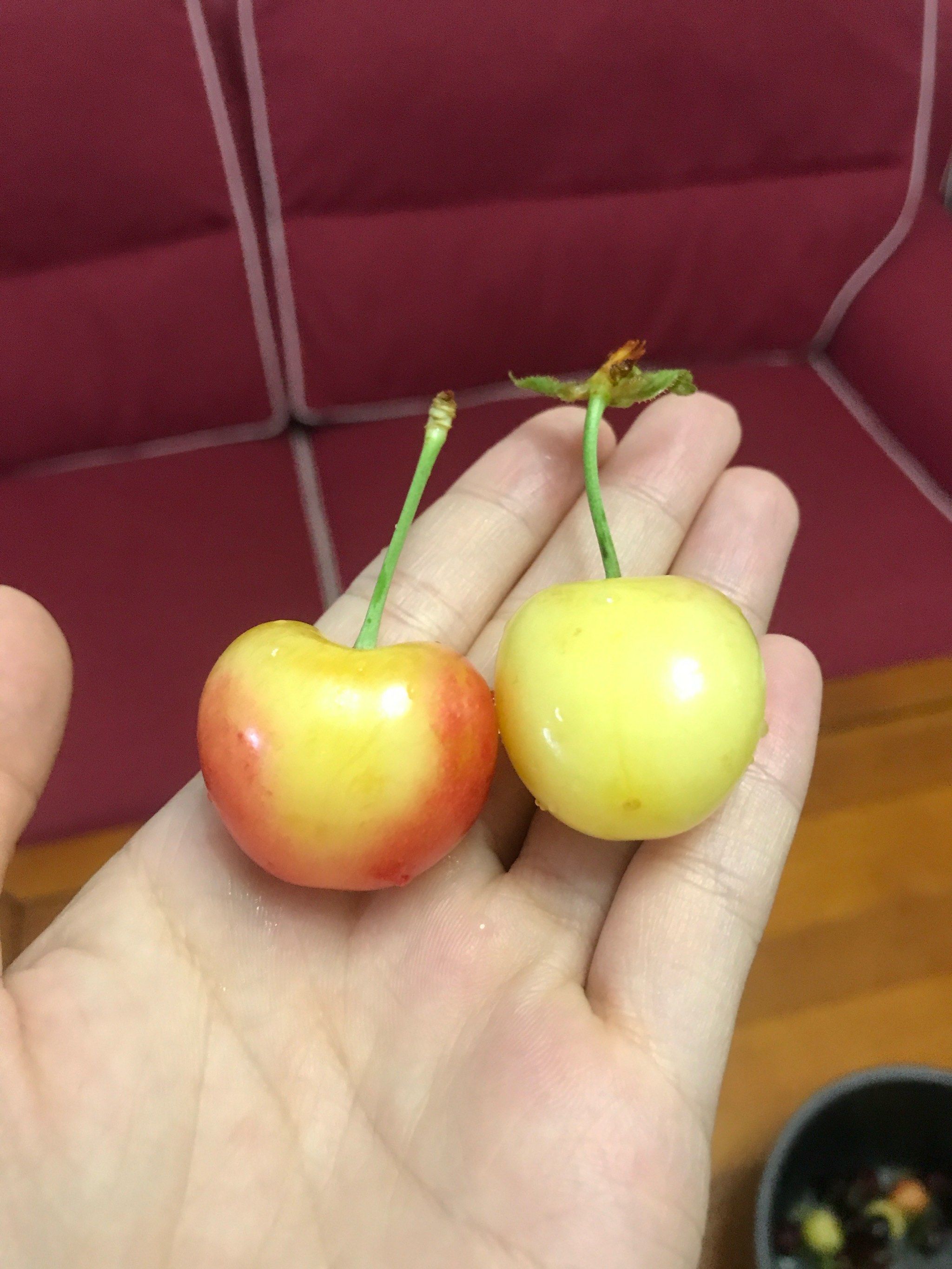 黄色的大樱桃黄蜜,味道不错哟