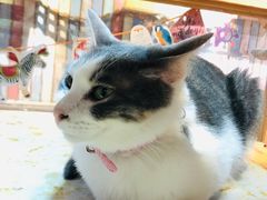 -小时光咖啡馆(开森度假森林店)