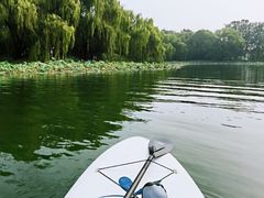 -WhaleSports户外水上运动俱乐部(朝阳公园店)