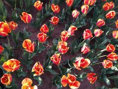 -廊坊文化艺术中心