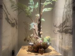 -浅深(北京北四环精品店)