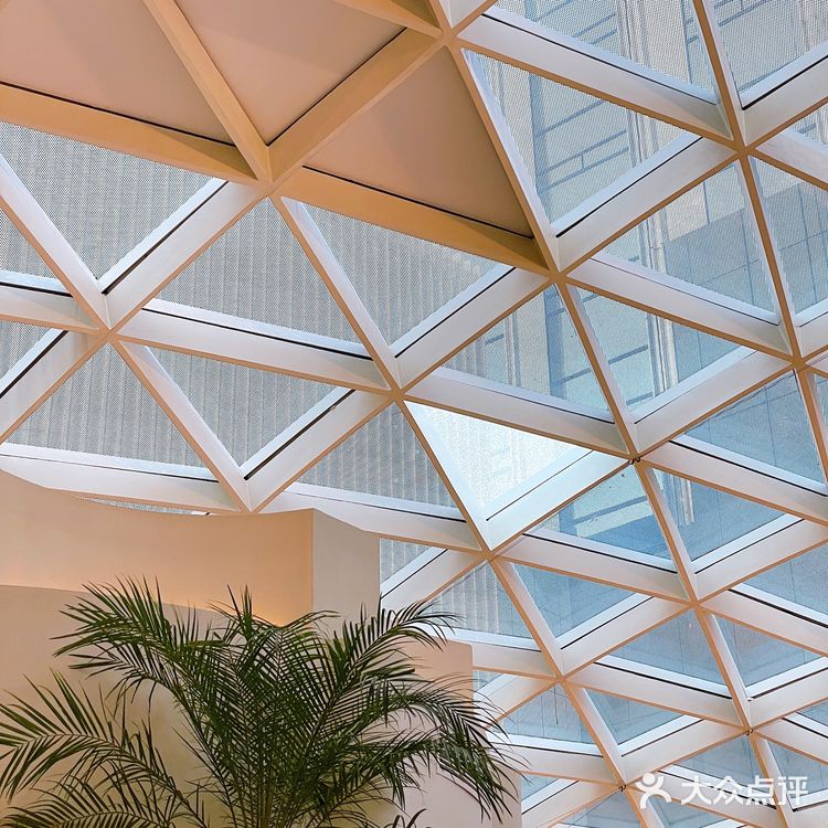 深圳探店 | 花厨