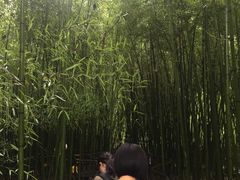 -竹泉村旅游度假区