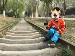 -永定河休闲森林公园