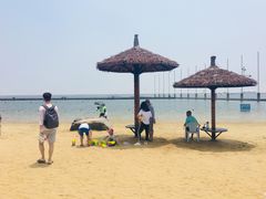 -碧海金沙