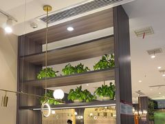 -刘胖子家常菜·蹄花焖藕(中南店)