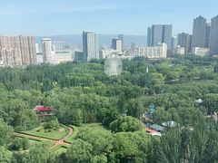 -青城公园