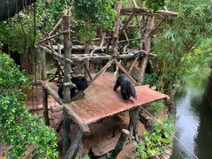 -长鹿旅游休博园