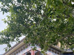 -广州中山纪念堂