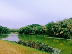 -艾溪湖湿地公园